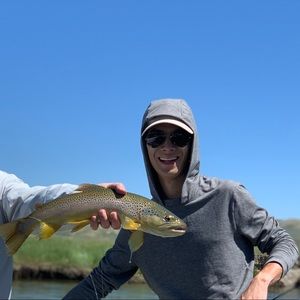 Meet your Posher, Joey